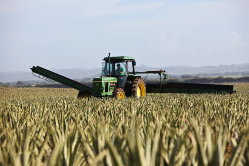 Seguro Agrcola